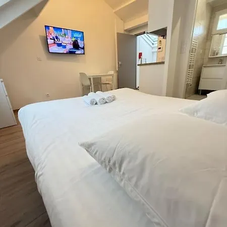 Apartment In The 16th *